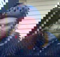 Silver Palace - Surfers Paradise Gold Coast