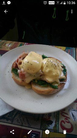 New Town TAS Surfers Paradise Gold Coast