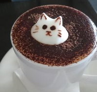 Cafe 2340 - Surfers Paradise Gold Coast