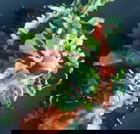 Little Red Providore - Surfers Paradise Gold Coast