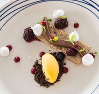 Wild Herring - Surfers Paradise Gold Coast