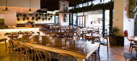 ALEX&Co. - Surfers Paradise Gold Coast 2
