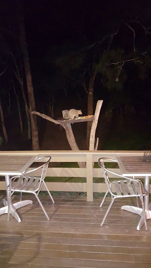 Broken River Mountain Resort - Surfers Paradise Gold Coast 6