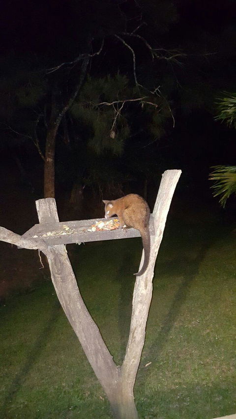 Broken River Mountain Resort - Surfers Paradise Gold Coast 8