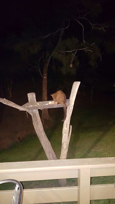 Broken River Mountain Resort - Surfers Paradise Gold Coast 10