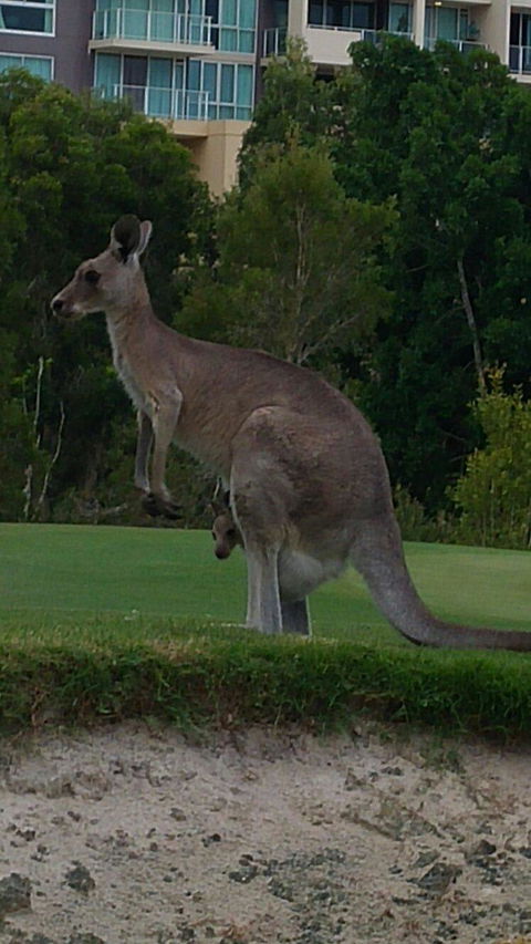T On Course - Surfers Paradise Gold Coast 3