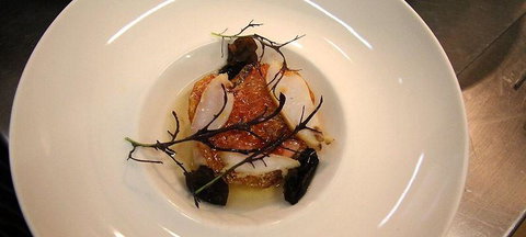 The Peak Restaurant At Spicers Peak Lodge - Surfers Paradise Gold Coast 1