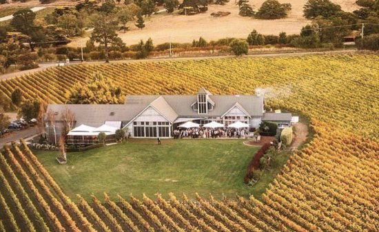 Cambridge TAS Surfers Paradise Gold Coast