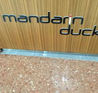Mandarin Duck - Surfers Paradise Gold Coast