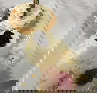 The Archie Secret Cafe - Surfers Paradise Gold Coast