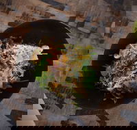 Red Square Cafe - Surfers Paradise Gold Coast