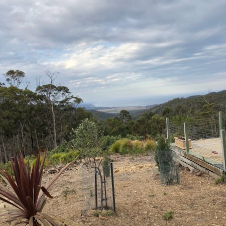 St Mary's Bakery - Surfers Paradise Gold Coast 0