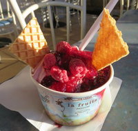 The Pondering Frog - Surfers Paradise Gold Coast