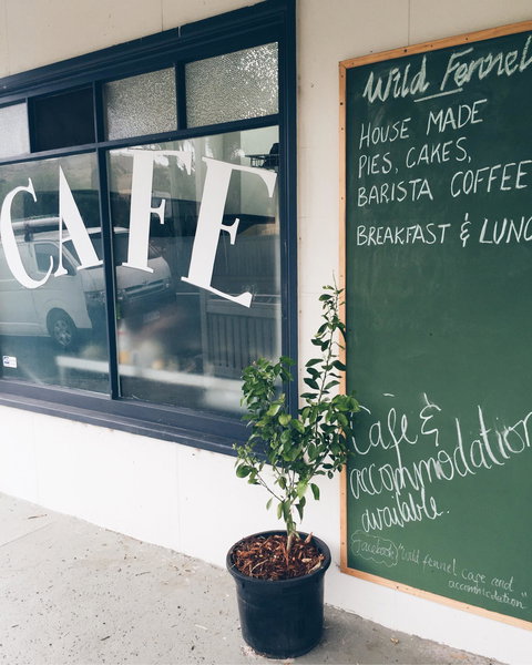 Wild Fennel - Surfers Paradise Gold Coast 5