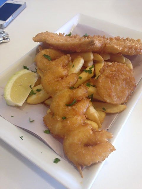 Fishagogo - Surfers Paradise Gold Coast 4