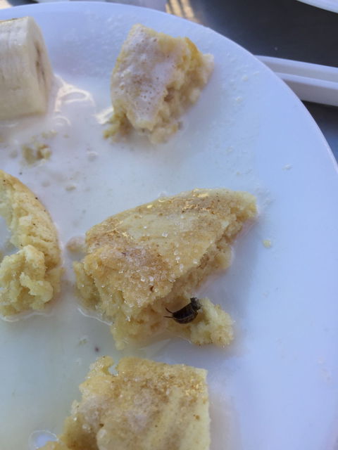 The Galleon Cafe - Surfers Paradise Gold Coast 1