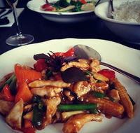 Urban Duck - Surfers Paradise Gold Coast