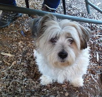 Cinnamon Grove - Surfers Paradise Gold Coast