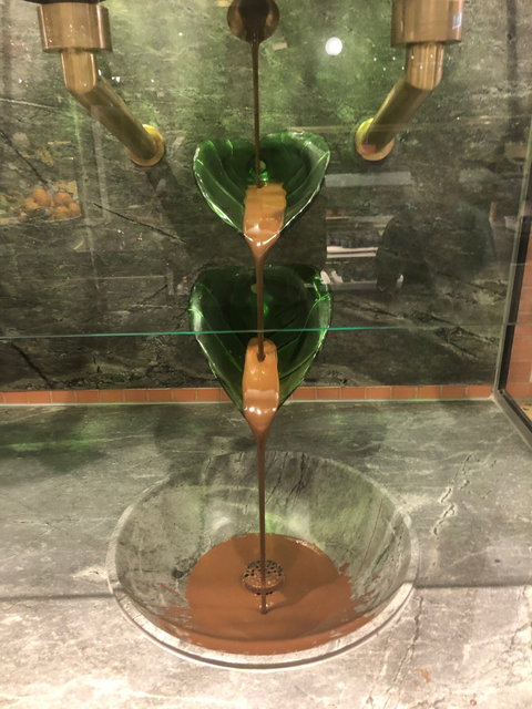 Harvest Buffet - Surfers Paradise Gold Coast 2