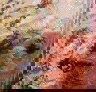 Surfside Pizza - Surfers Paradise Gold Coast