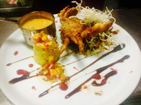 PepperVine - Surfers Paradise Gold Coast 0