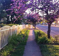 DeliCate - Surfers Paradise Gold Coast