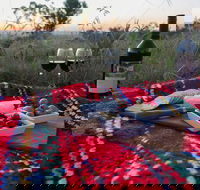 Bunnyconnellen Olive Grove  Vineyard - Surfers Paradise Gold Coast