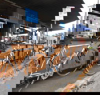 Fat Penguin - Surfers Paradise Gold Coast