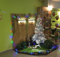 Onggi jonggi - Surfers Paradise Gold Coast