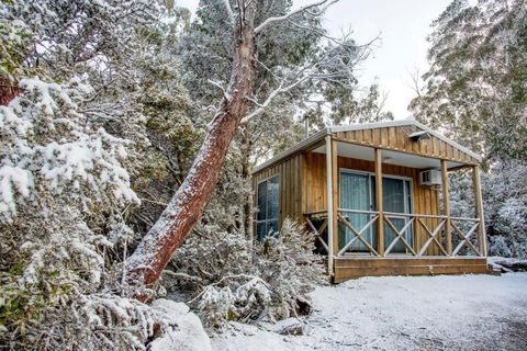 Discovery Parks Cradle Mountain - Surfers Paradise Gold Coast 2