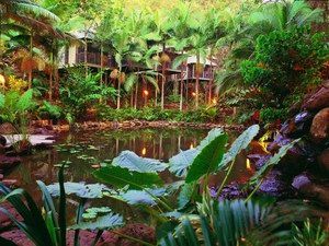 Daintree Eco Lodge & Spa - Surfers Paradise Gold Coast 0