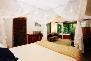 Daintree Eco Lodge & Spa - Surfers Paradise Gold Coast 1