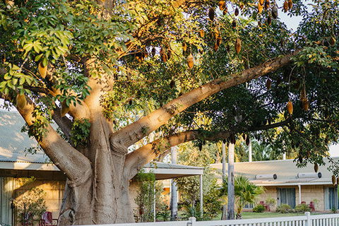 Kimberley Grande Resort & Conf Ctr - Surfers Paradise Gold Coast 0