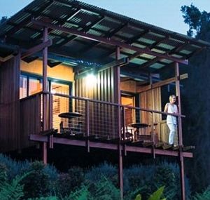 O'Reilly's Rainforest Guesthouse - Surfers Paradise Gold Coast 1