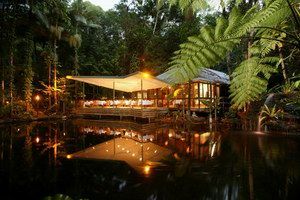 Daintree Eco Lodge & Spa - Surfers Paradise Gold Coast 2
