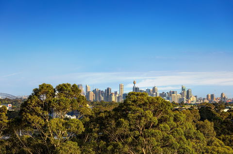 Quest Macquarie Park - Surfers Paradise Gold Coast 2