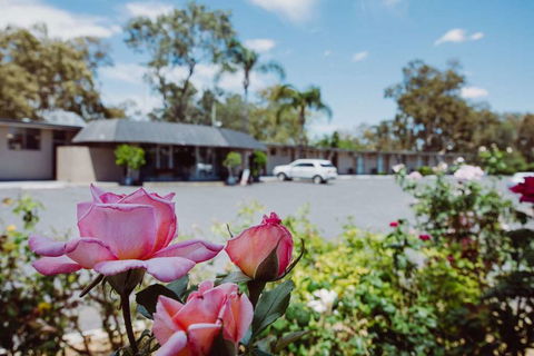 Artesian Spa Motor Inn - Surfers Paradise Gold Coast 2