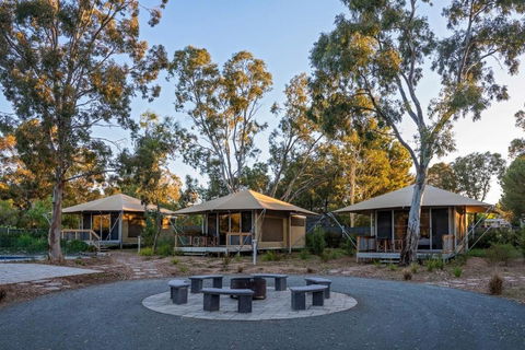 Discovery Parks Barossa Valley - Surfers Paradise Gold Coast 0