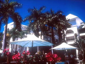 Alamanda Palm Cove - Surfers Paradise Gold Coast 1