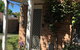 Finches Canberra - thumb 33