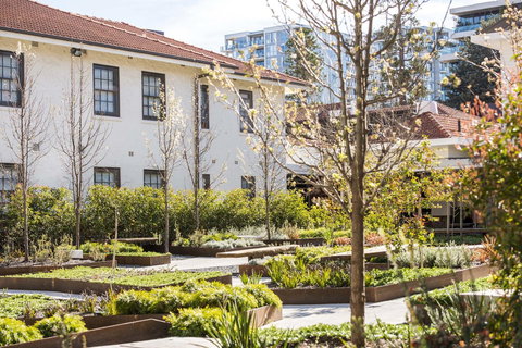 Peppers Gallery Hotel - Surfers Paradise Gold Coast 1