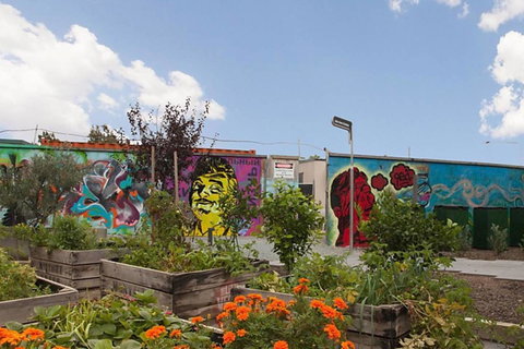 Canberra Luxury Apartment 3 - Surfers Paradise Gold Coast 13