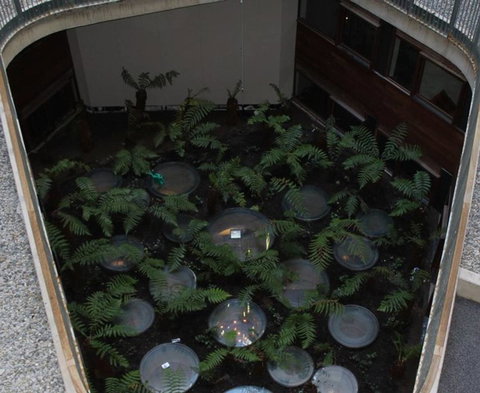 Canberra Luxury Apartment 3 - Surfers Paradise Gold Coast 32