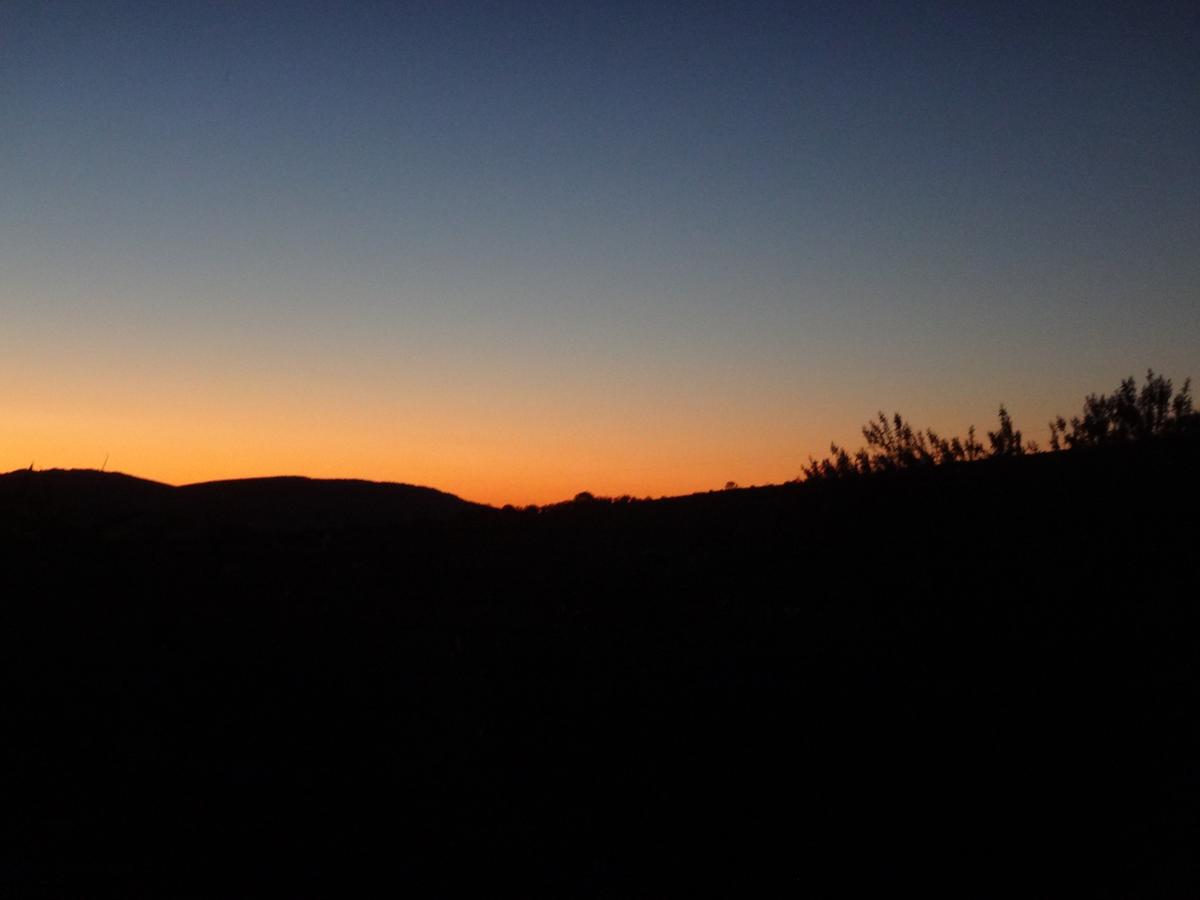 Parachilna SA Surfers Paradise Gold Coast