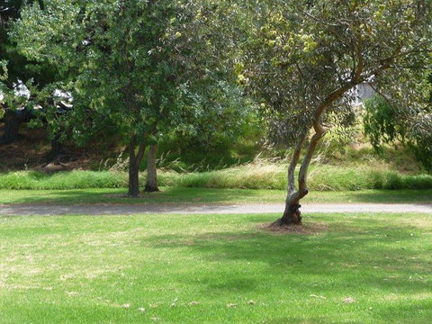 Victor Harbor Holiday Park - Surfers Paradise Gold Coast 24