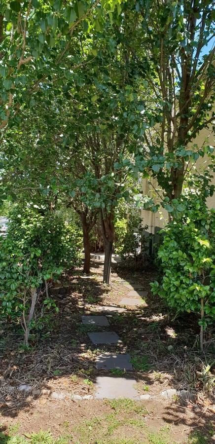 Olive\'s Cottage - Surfers Paradise Gold Coast 8
