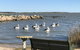 Hydeaway Bay - Own Private Bay + Kayaks - thumb 18