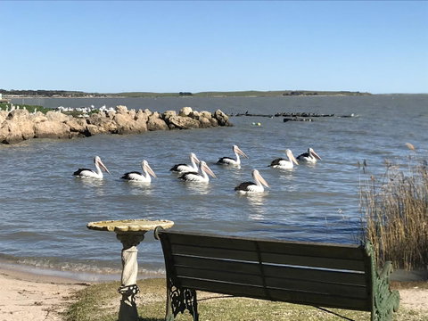 Hydeaway Bay - Own Private Bay + Kayaks - Surfers Paradise Gold Coast 18