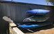 Hydeaway Bay - Own Private Bay + Kayaks - thumb 28