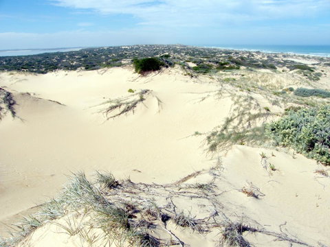 Coorong Waterfront Retreat - Surfers Paradise Gold Coast 32